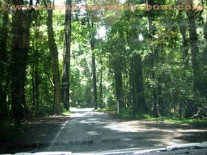 Brisbane Airport car hire, driving is on the left Brisbane Airport car hire, driving is on the left