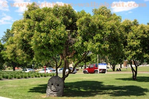 Brisbane Universities, UQ St Lucia campus Brisbane Universities, UQ St Lucia campus
