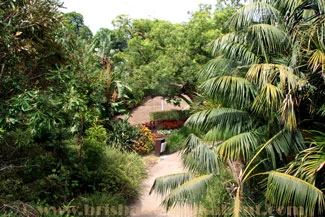 Roma Street, shady walk in the park
