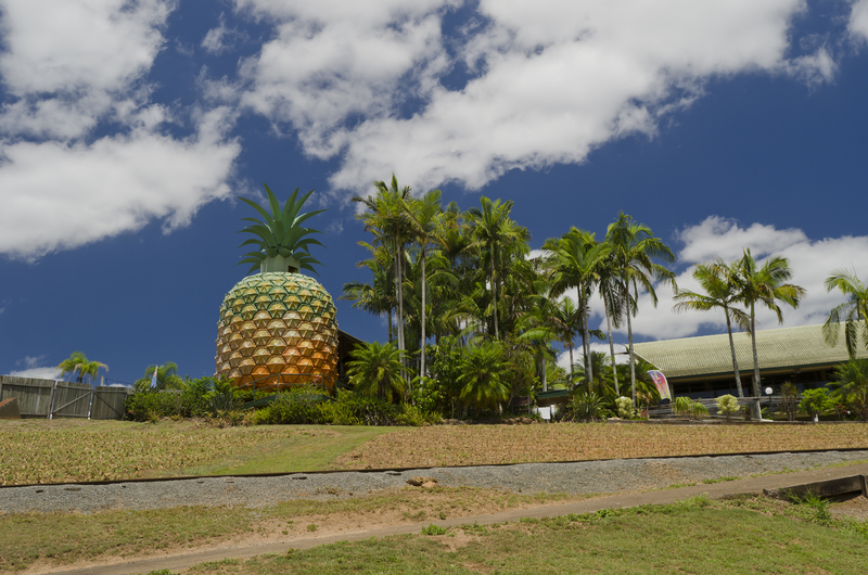 The Big Pineapple near Nambour on Australia's Sunshine Coast The Big Pineapple near Nambour on Australia's Sunshine Coast