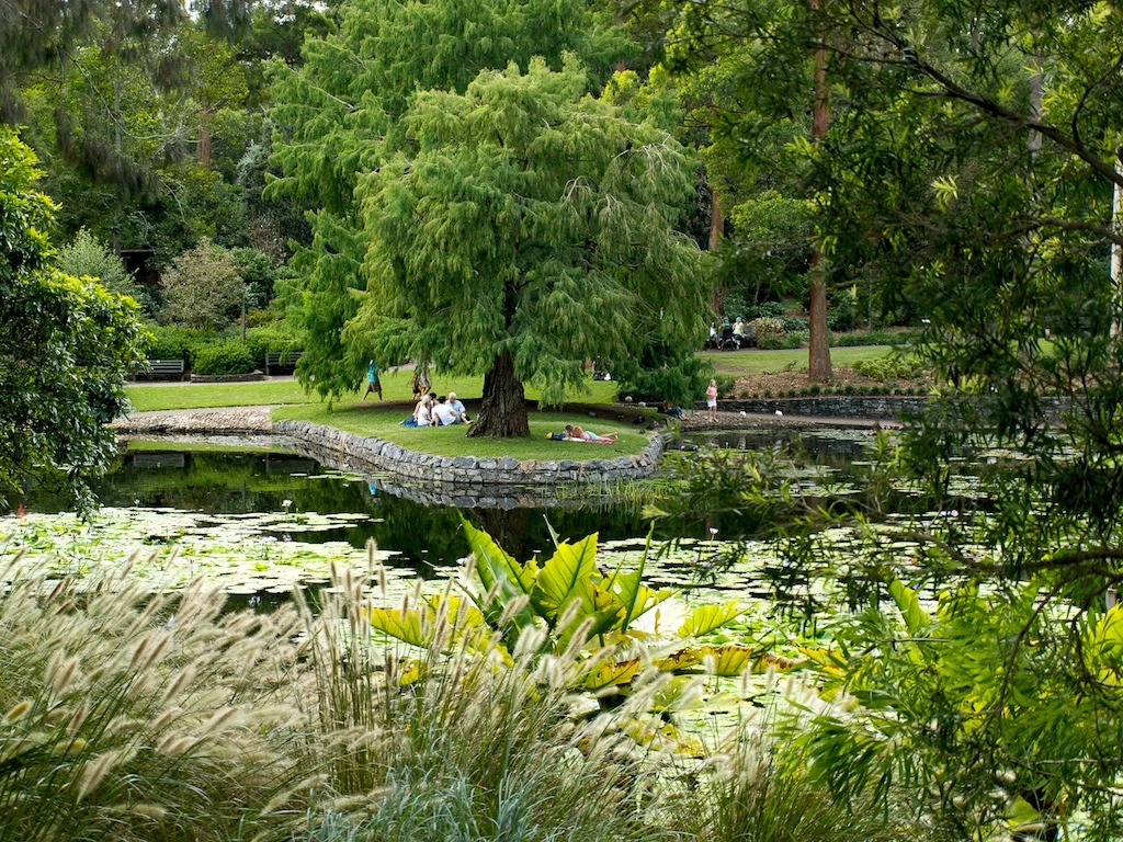 Brisbane Botanic Gardens, laggon and flowerbeds