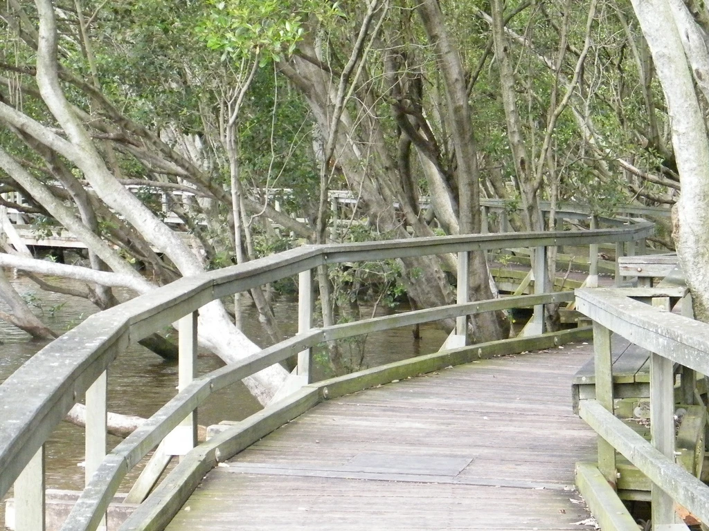 City Botanic Gardens, view from gardens across the river